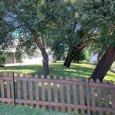 Casa Do Pinheiro * Fiaes