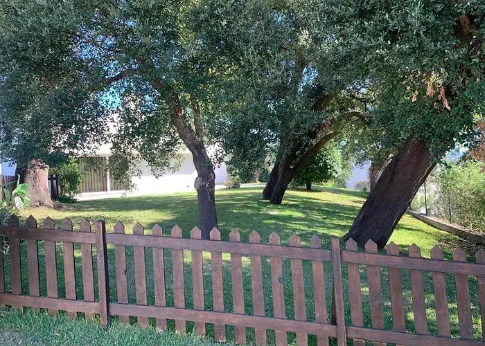 Casa Do Pinheiro * Fiaes